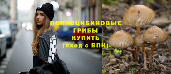 стафф Дубовка