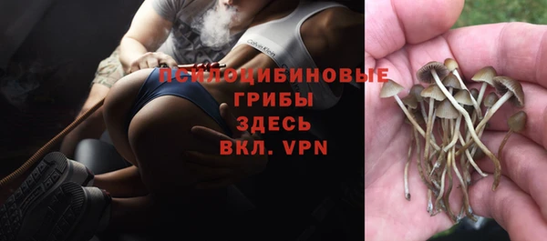 меф Пролетарск