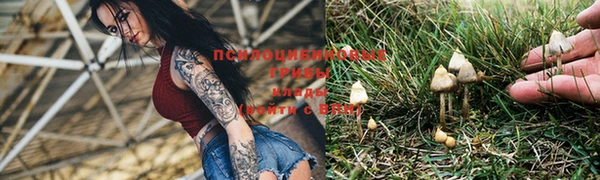 mdma Чердынь