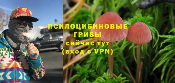 амф Рославль