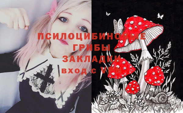 меф Пролетарск