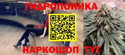 дживик Аргун