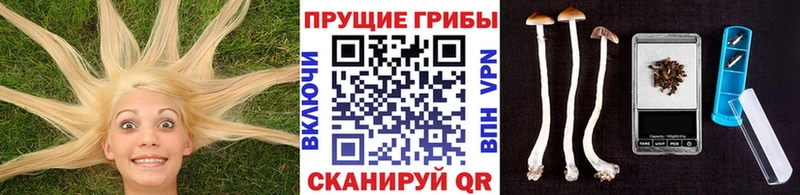 Галлюциногенные грибы мицелий  Ахтубинск 